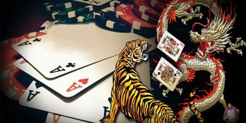 Rồng hổ casino online so sánh chi tiết